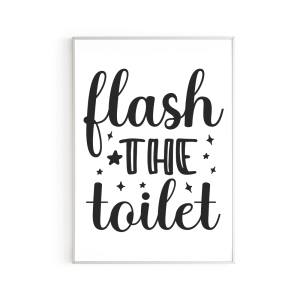 Flash the toilet